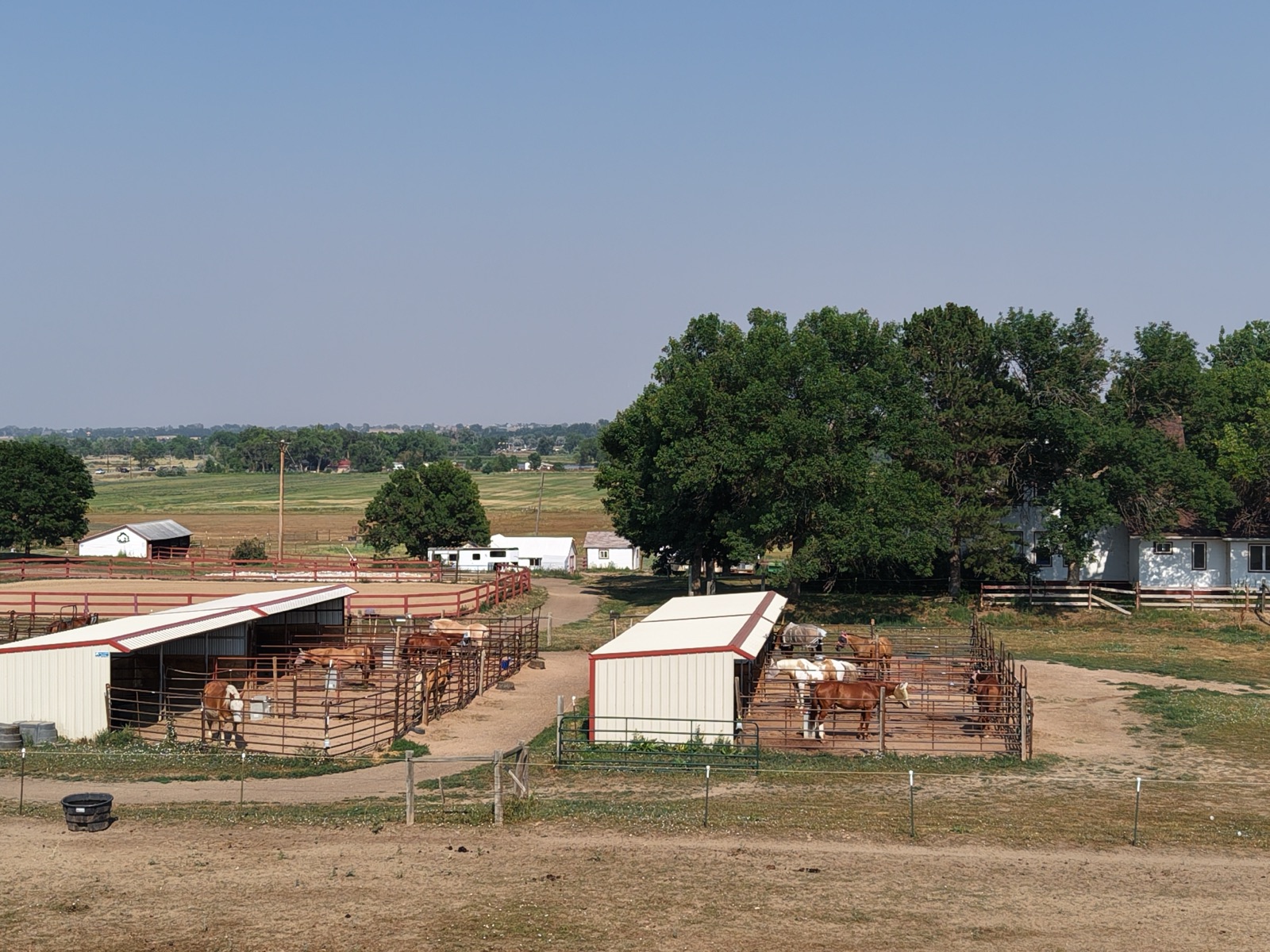 Aerial view of horses gathered under run-in sheds on a ranch property