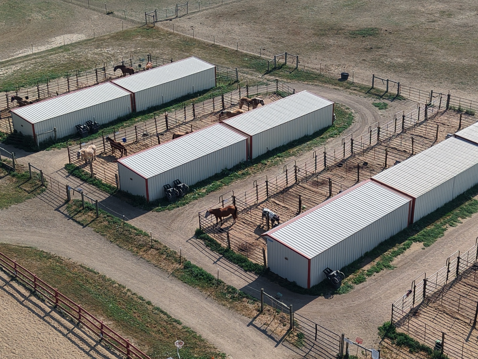 Overhead aerial view of horses in individual paddock stalls